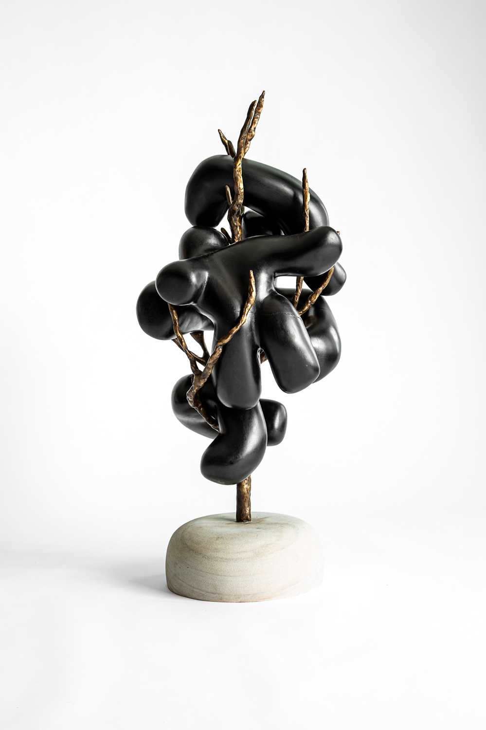 Lot 38 - Atang Tshikare (South Africa 1980-)