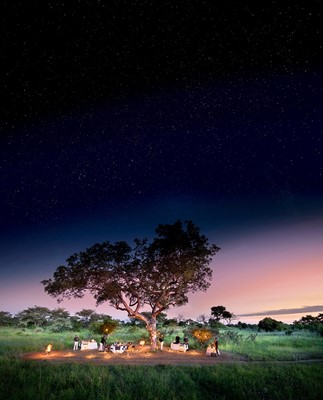 Lot 20 - An Ultra-luxury Safari Experience for Three Nights for Eight Guests at Cheetah Plains