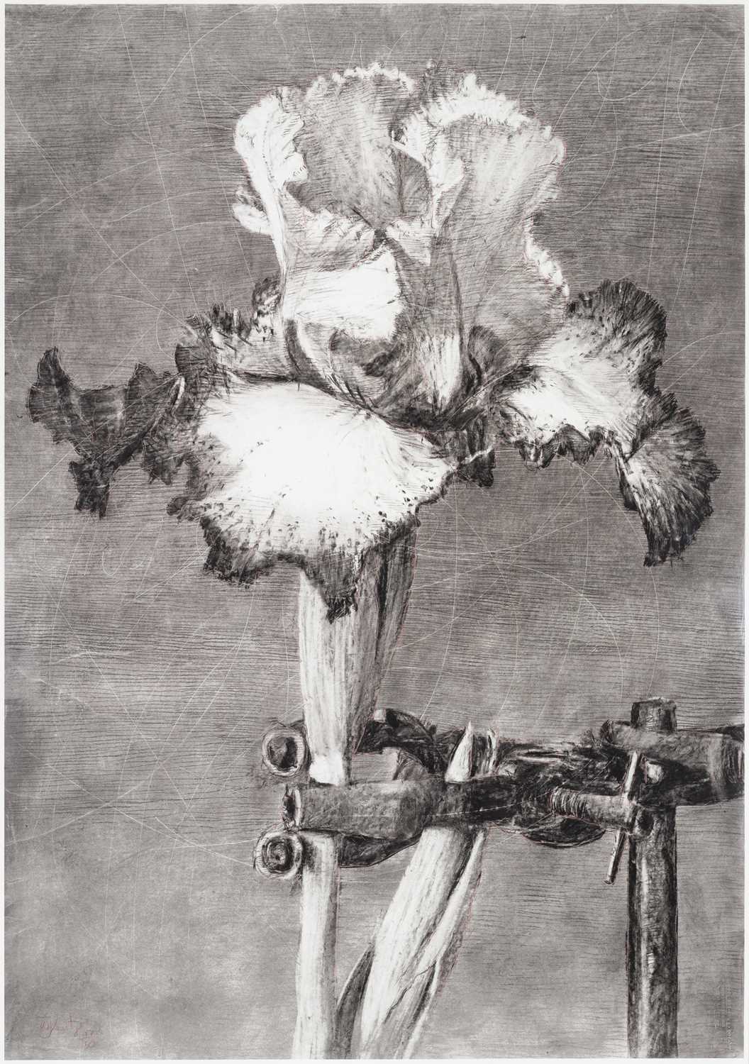 Lot 46 - William Kentridge (South Africa 1955-)