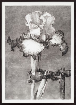 Lot 46 - William Kentridge (South Africa 1955-)