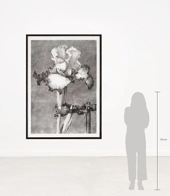 Lot 46 - William Kentridge (South Africa 1955-)