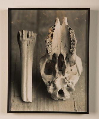 Lot 25 - Tiaan van Deventer (South Africa 1975-)