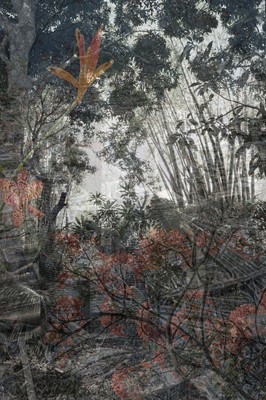 Lot 48 - Catherine Li (Mauritius 1968-)