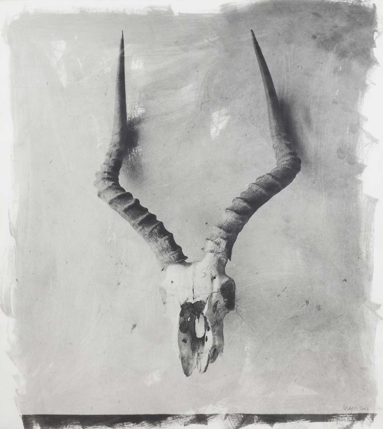 Lot 104 - Stephen Inggs (South Africa 1955-)