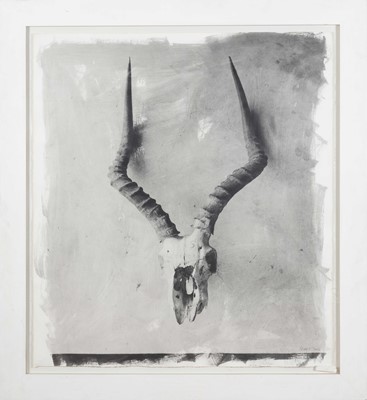 Lot 104 - Stephen Inggs (South Africa 1955-)